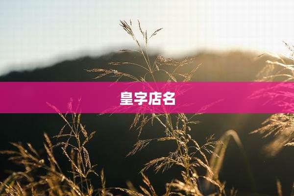 皇字店名