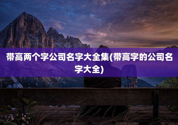 带高两个字公司名字大全集(带高字的公司名字大全)