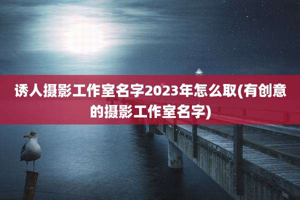 诱人摄影工作室名字2023年怎么取(有创意的摄影工作室名字)