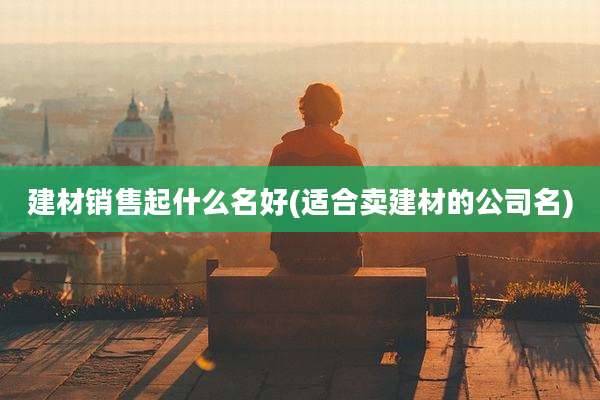 建材销售起什么名好(适合卖建材的公司名)
