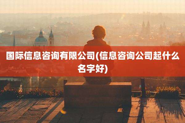 国际信息咨询有限公司(信息咨询公司起什么名字好)