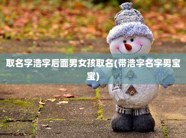 取名字浩字后面男女孩取名(带浩字名字男宝宝)