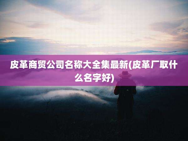 皮革商贸公司名称大全集最新(皮革厂取什么名字好)