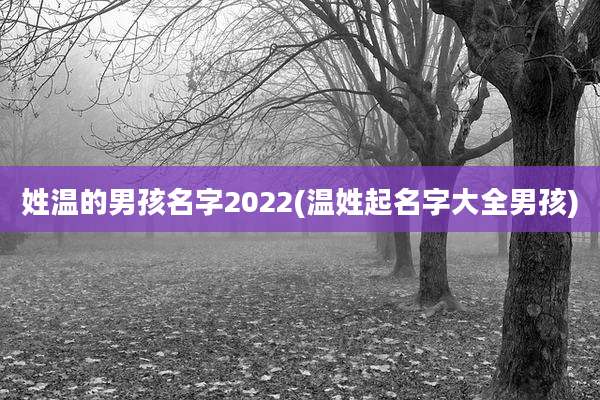 姓温的男孩名字2022(温姓起名字大全男孩)