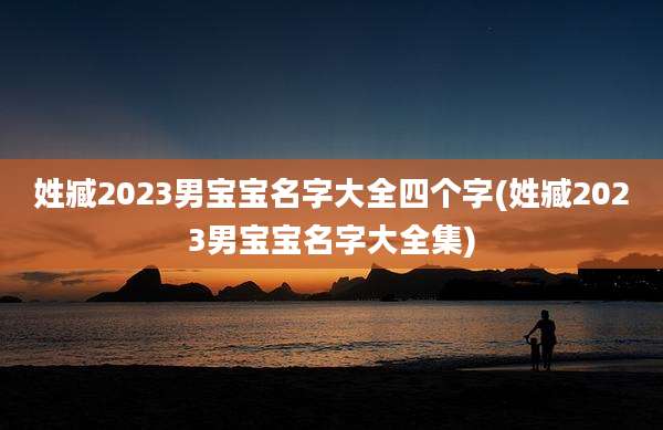 姓臧2023男宝宝名字大全四个字(姓臧2023男宝宝名字大全集)