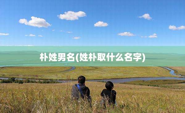 朴姓男名(姓朴取什么名字)