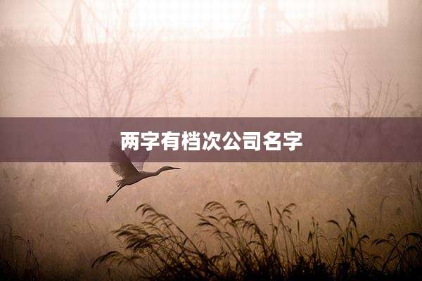 两字有档次公司名字