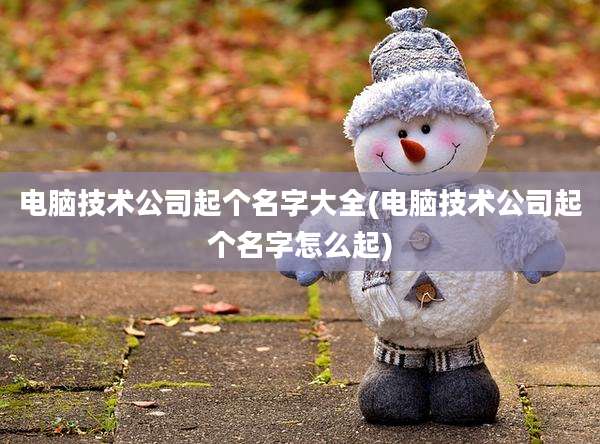 电脑技术公司起个名字大全(电脑技术公司起个名字怎么起)