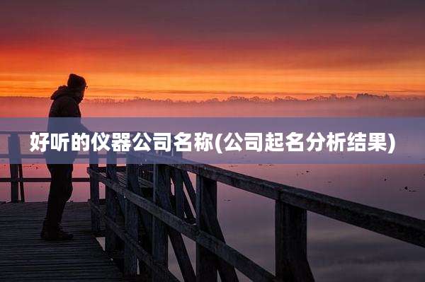 好听的仪器公司名称(公司起名分析结果)