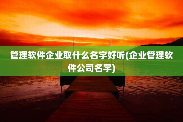 管理软件企业取什么名字好听(企业管理软件公司名字)