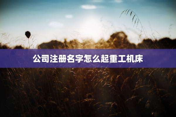 公司注册名字怎么起重工机床