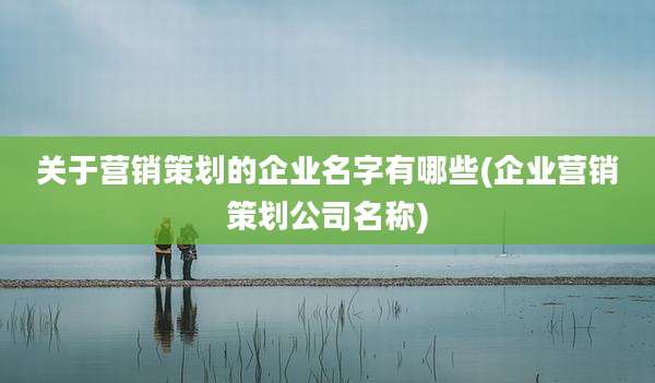 关于营销策划的企业名字有哪些(企业营销策划公司名称)