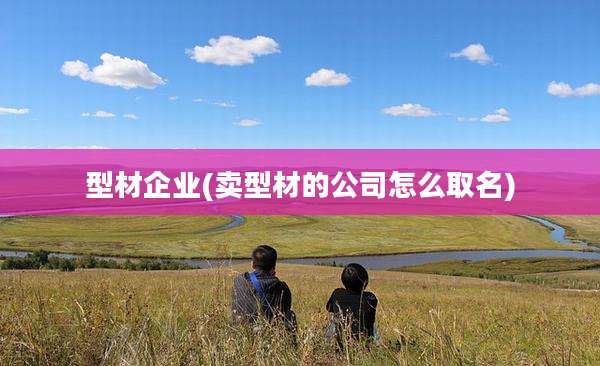 型材企业(卖型材的公司怎么取名)