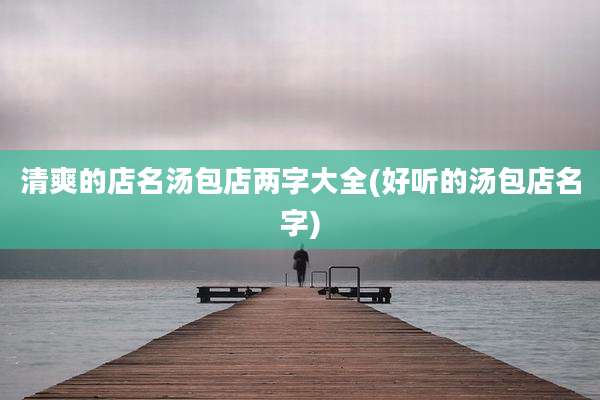 清爽的店名汤包店两字大全(好听的汤包店名字)