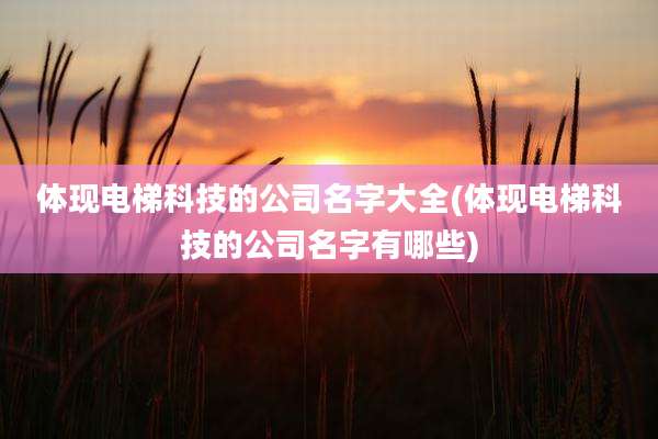 体现电梯科技的公司名字大全(体现电梯科技的公司名字有哪些)