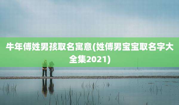 牛年傅姓男孩取名寓意(姓傅男宝宝取名字大全集2021)