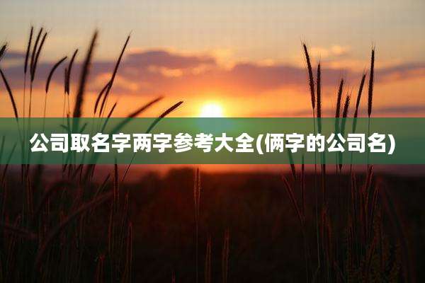 公司取名字两字参考大全(俩字的公司名)