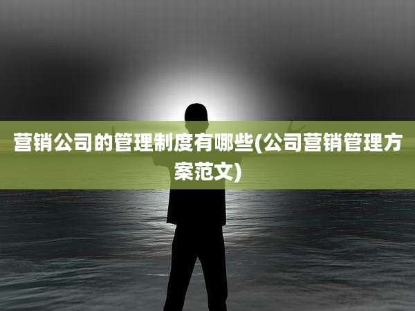 营销公司的管理制度有哪些(公司营销管理方案范文)