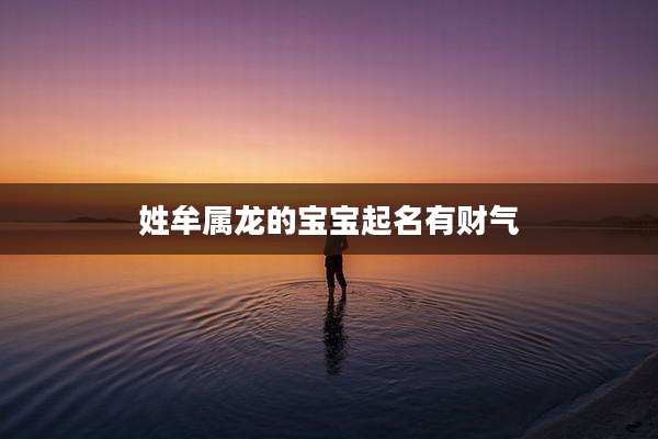 姓牟属龙的宝宝起名有财气