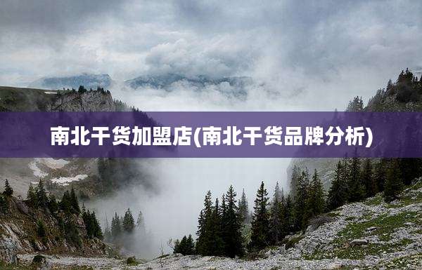 南北干货加盟店(南北干货品牌分析)