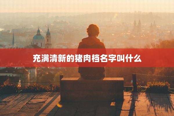 充满清新的猪肉档名字叫什么