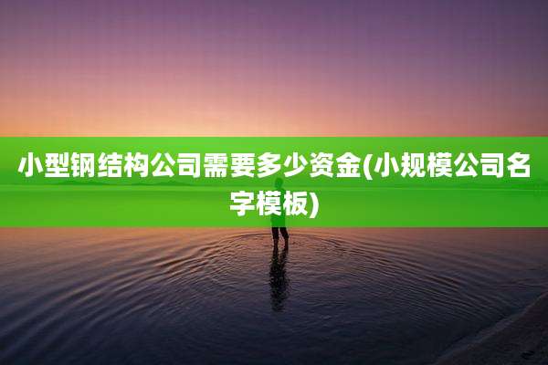 小型钢结构公司需要多少资金(小规模公司名字模板)