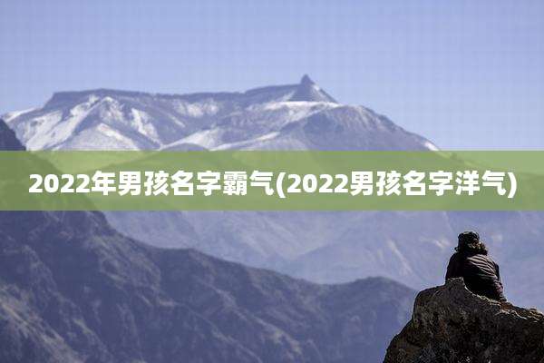 2022年男孩名字霸气(2022男孩名字洋气)