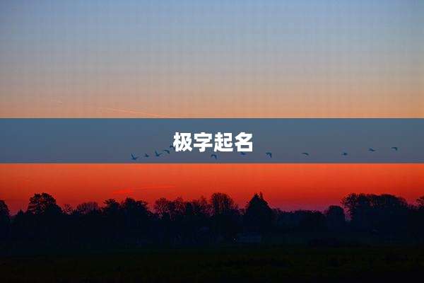 极字起名