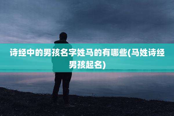 诗经中的男孩名字姓马的有哪些(马姓诗经男孩起名)