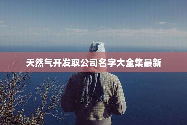 天然气开发取公司名字大全集最新