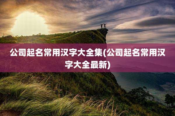 公司起名常用汉字大全集(公司起名常用汉字大全最新)