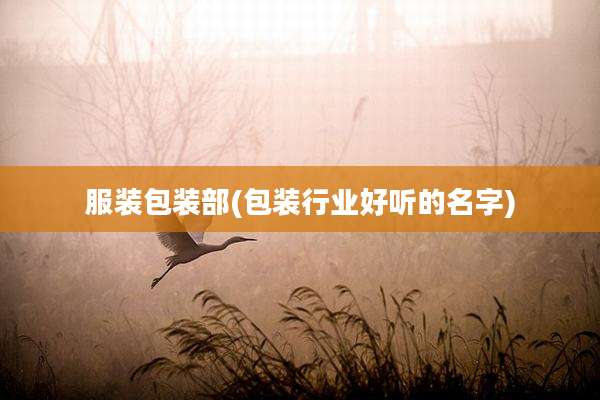 服装包装部(包装行业好听的名字)