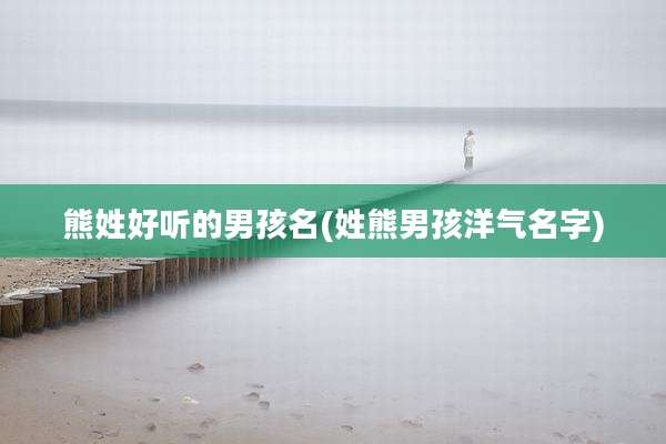 熊姓好听的男孩名(姓熊男孩洋气名字)