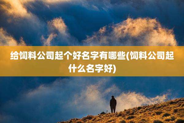 给饲料公司起个好名字有哪些(饲料公司起什么名字好)