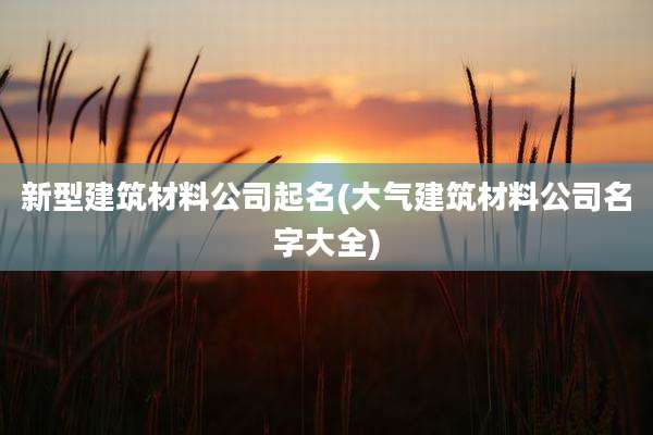 新型建筑材料公司起名(大气建筑材料公司名字大全)