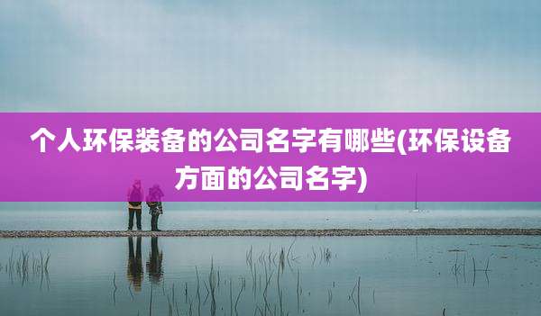 个人环保装备的公司名字有哪些(环保设备方面的公司名字)