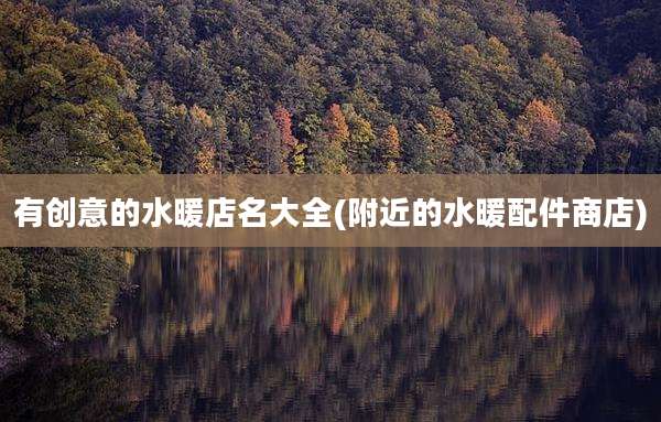 有创意的水暖店名大全(附近的水暖配件商店)