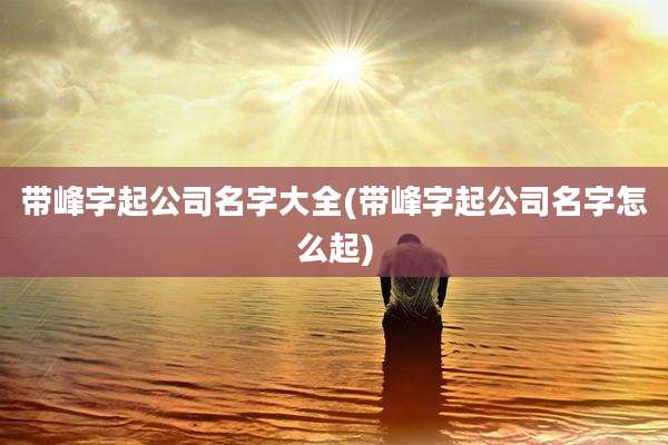 带峰字起公司名字大全(带峰字起公司名字怎么起)