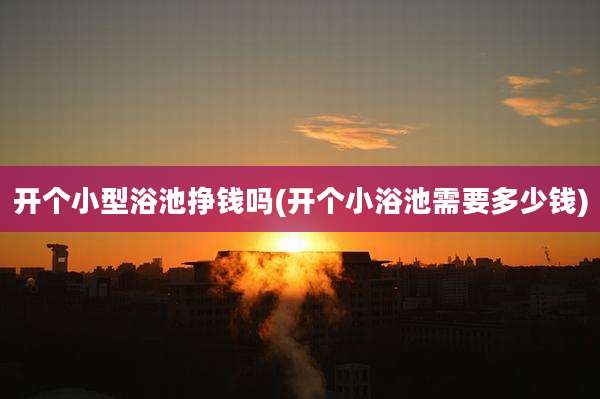开个小型浴池挣钱吗(开个小浴池需要多少钱)
