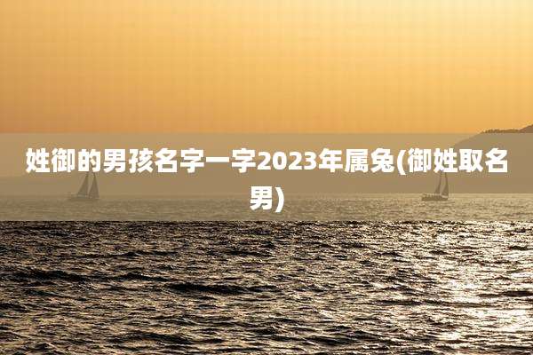姓御的男孩名字一字2023年属兔(御姓取名男)