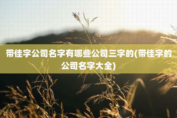 带佳字公司名字有哪些公司三字的(带佳字的公司名字大全)