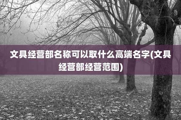 文具经营部名称可以取什么高端名字(文具经营部经营范围)