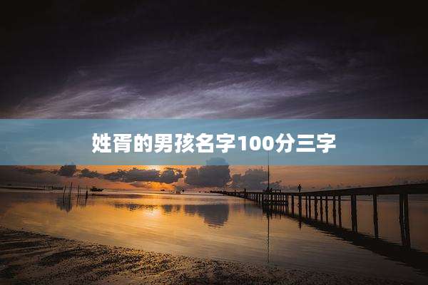姓胥的男孩名字100分三字