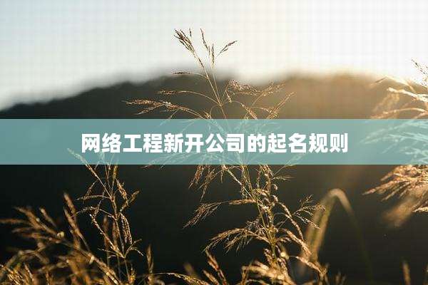 网络工程新开公司的起名规则