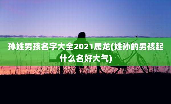 孙姓男孩名字大全2021属龙(姓孙的男孩起什么名好大气)
