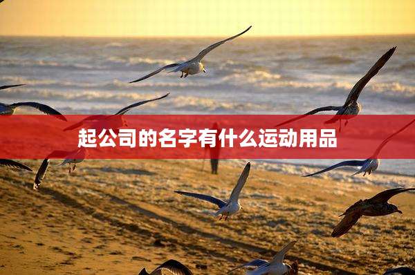 起公司的名字有什么运动用品