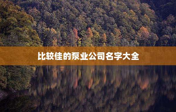 比较佳的泵业公司名字大全