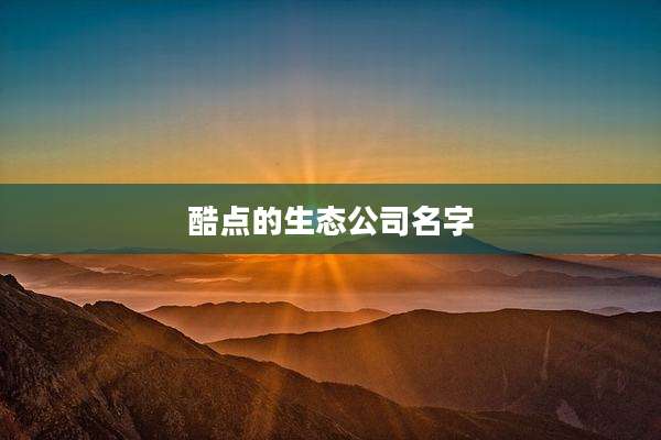 酷点的生态公司名字