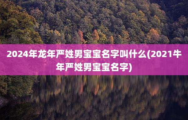 2024年龙年严姓男宝宝名字叫什么(2021牛年严姓男宝宝名字)