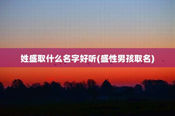 姓盛取什么名字好听(盛性男孩取名)